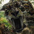 primeval-klein.jpg