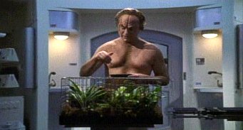 , Star Trek Enterprise &#8211; 3.16 &#8211; &#8222;Auf ärztliche Anweisung&#8220; (&#8222;Doctor`s Orders&#8220;) Review