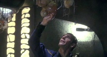 , Star Trek Enterprise &#8211; 3.17 &#8211; &#8222;Brutstätte&#8220; (&#8222;Hatchery&#8220;) Review